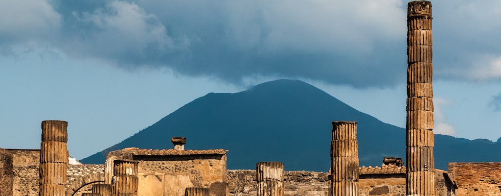 Wycieczka po Pompejach z lokalnym archeologiem