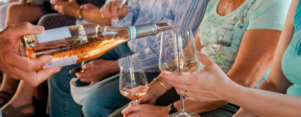 Cata de vinos en la bodega Il Pignetto