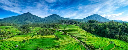 Bratan See und Tanah Lot Tour