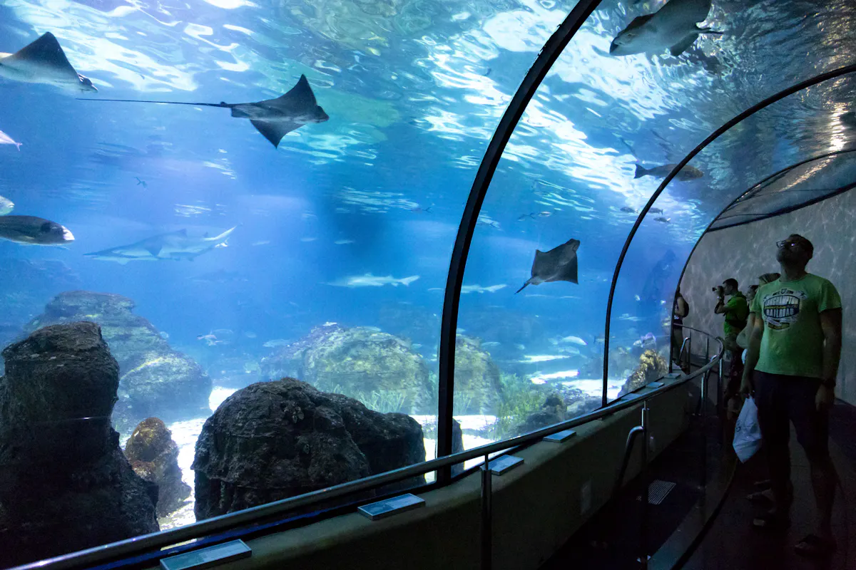 Aquarium Roquetas de Mar