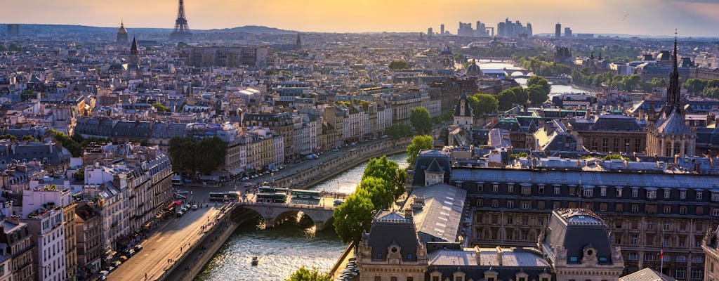 Paris sightseeing tour in minivan and commented cruise