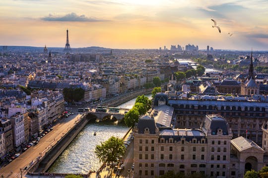 Paris sightseeing tour in minivan and commented cruise