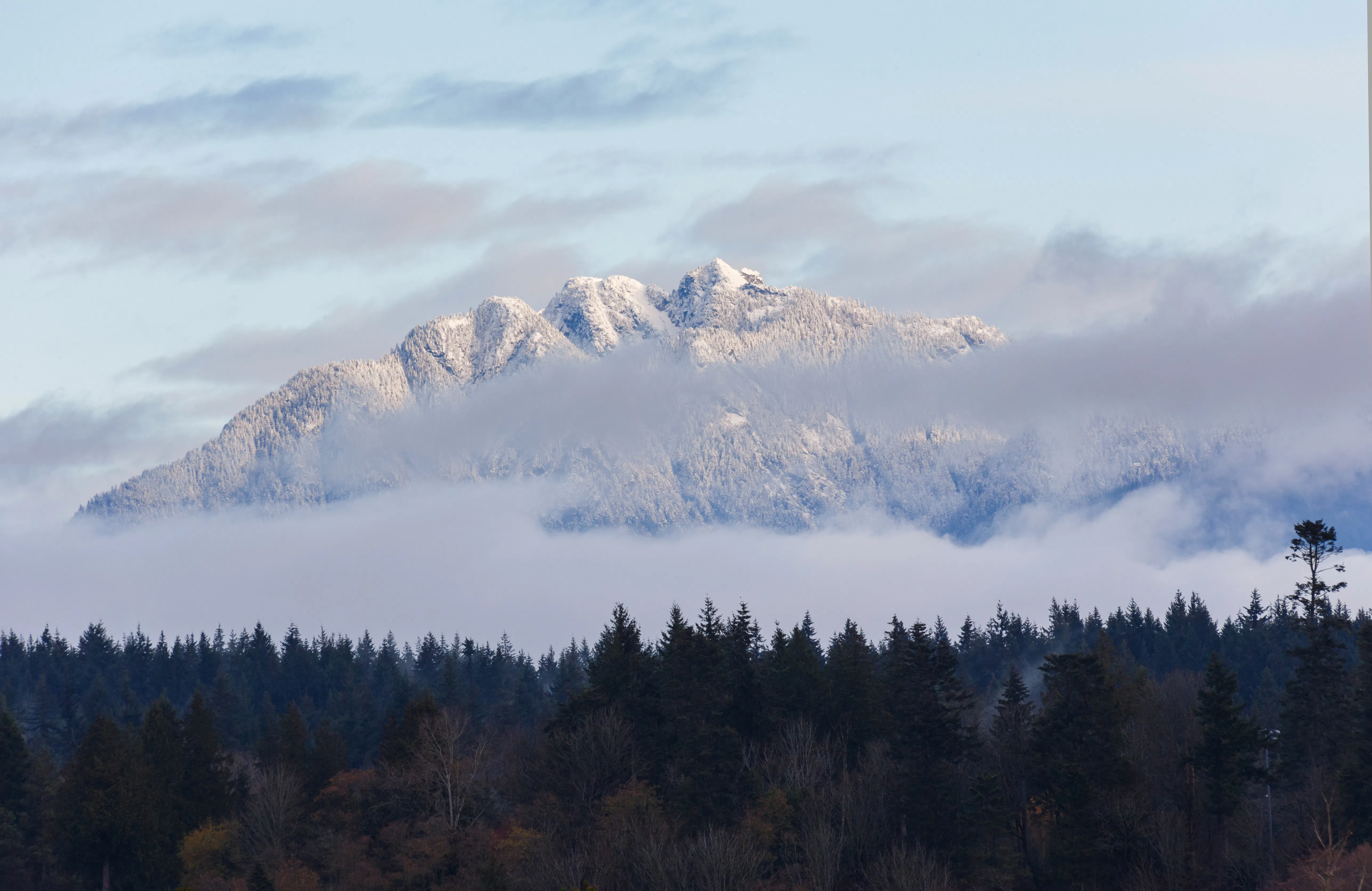 Grouse Mountain