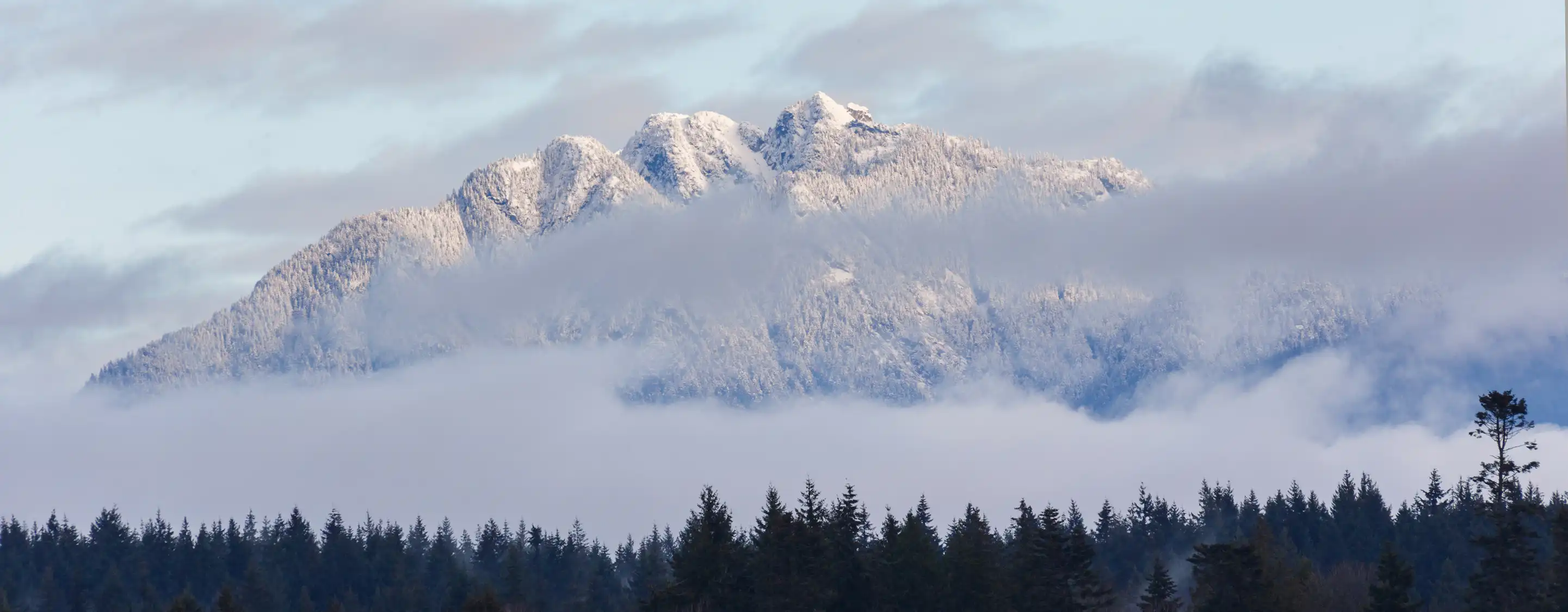 Grouse Mountain