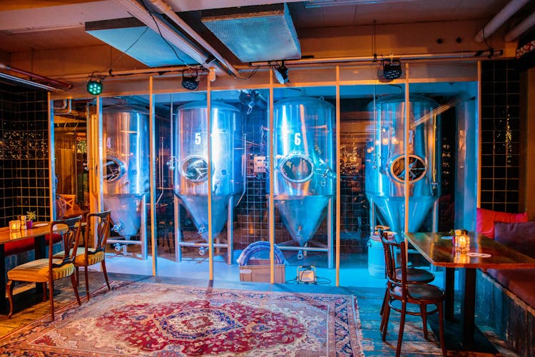 Beer tasting and craft brewery tour in Amsterdam