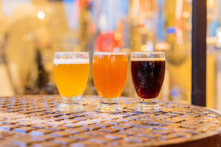 Beer tasting and craft brewery tour in Amsterdam