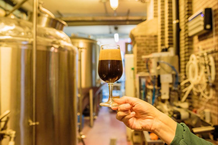 Beer tasting and craft brewery tour in Amsterdam