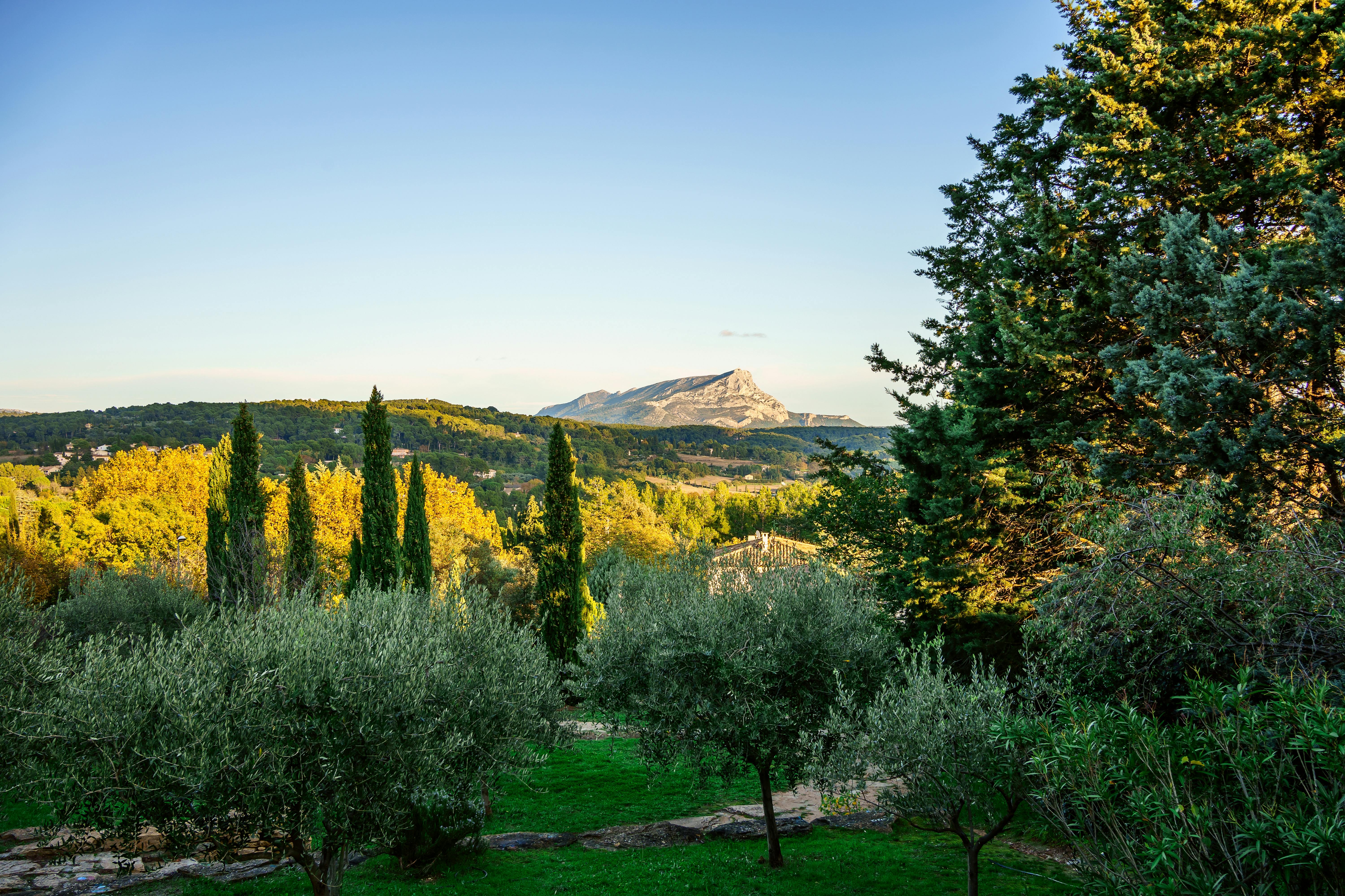 Excursión de día completo a Aix-en-Provence de Cézanne con degustación de vinos