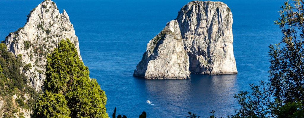 Capri et Anacapri en bateau avec visite à pied