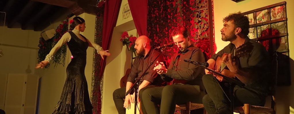 Tour di flamenco e spettacolo dal vivo