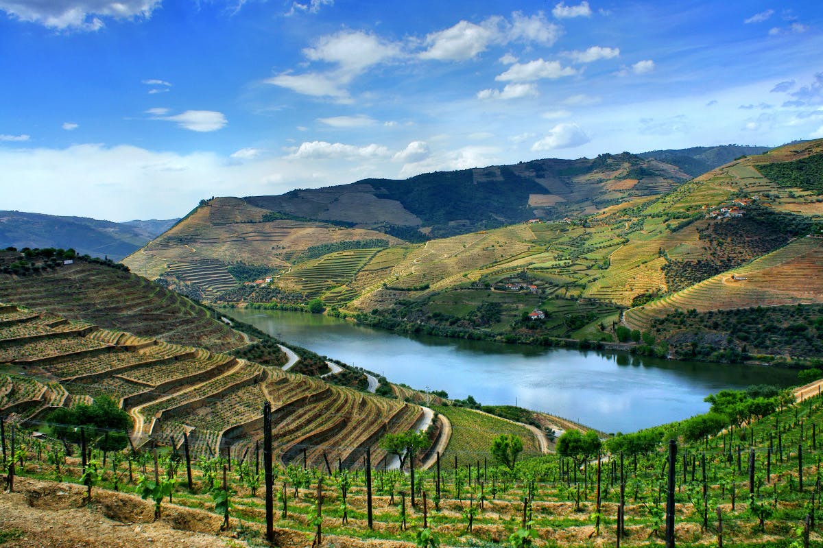 Excursion d'une journée dans la vallée du Douro au départ de Porto avec déjeuner, dégustation de vins et croisière