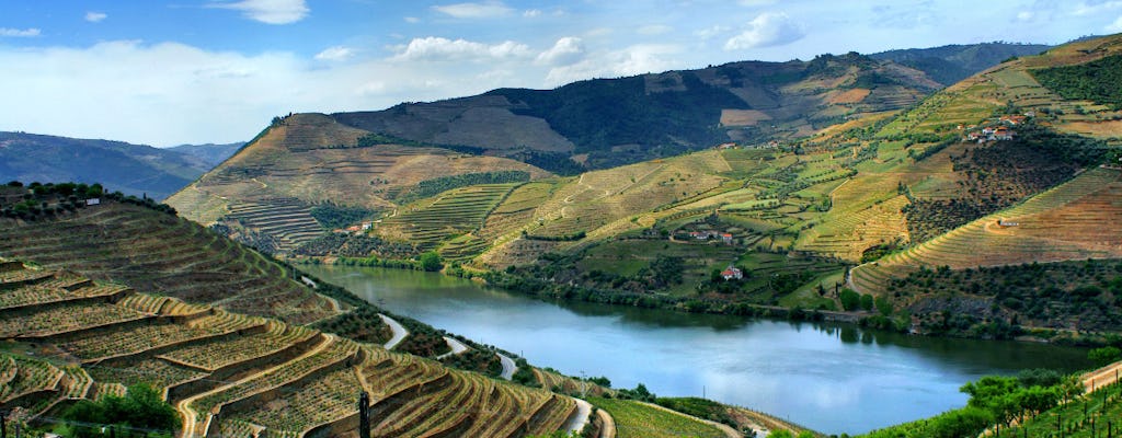 Excursão diurna ao Vale do Douro saindo do Porto com almoço, degustação de vinhos e cruzeiro
