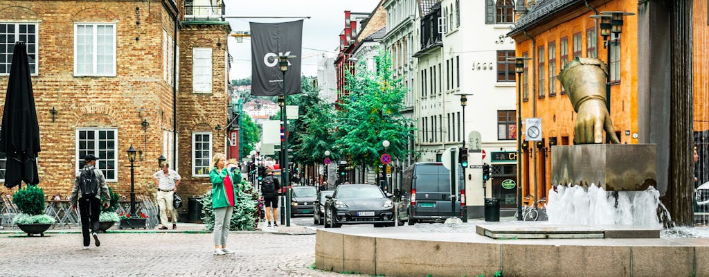 Tipico tour a piedi privato norvegese "Ut på Tur, Aldri Sur".