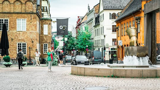 Visite privée à pied typiquement norvégienne "Ut på Tur, Aldri Sur"