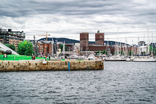 Passeggiata privata di Oslo dalla costa alla città