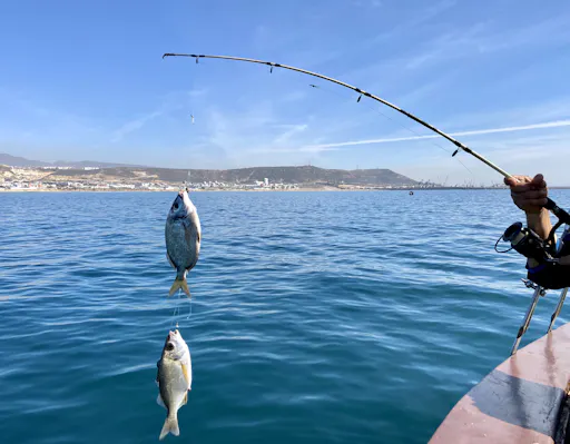 Agadir Fishing Experience