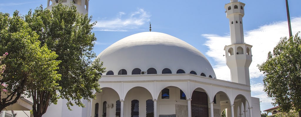 Visite guidée de Foz do Iguaçu avec temple bouddhiste, mosquée et écomusée