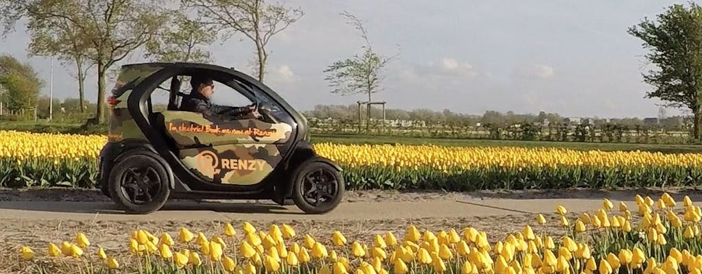 Recorrido en coche eléctrico por los campos de flores y tulipanes con audioguía