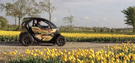 Tour de áudio do drive-it-yourself tulip e flower fields