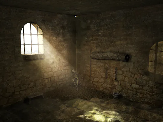Investigative visit, The Prisoner of the Bastille
