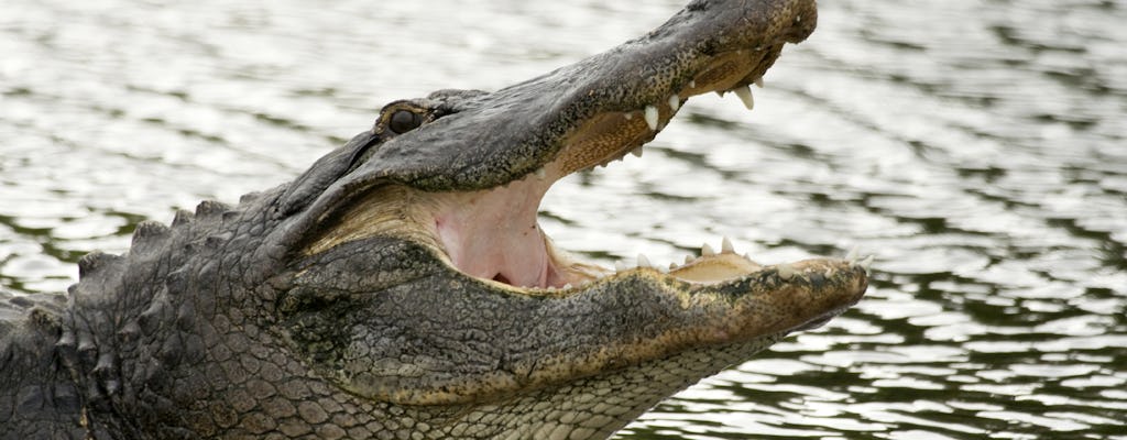 La Floride sauvage : entrée au Wildlife Park