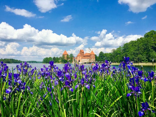 Excursión de medio día desde Vilna a Trakai con una visita guiada al castillo