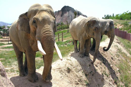 Terra Natura und-oder Aqua Natura mit Transfer