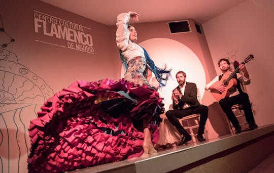 Traditional flamenco show in Madrid