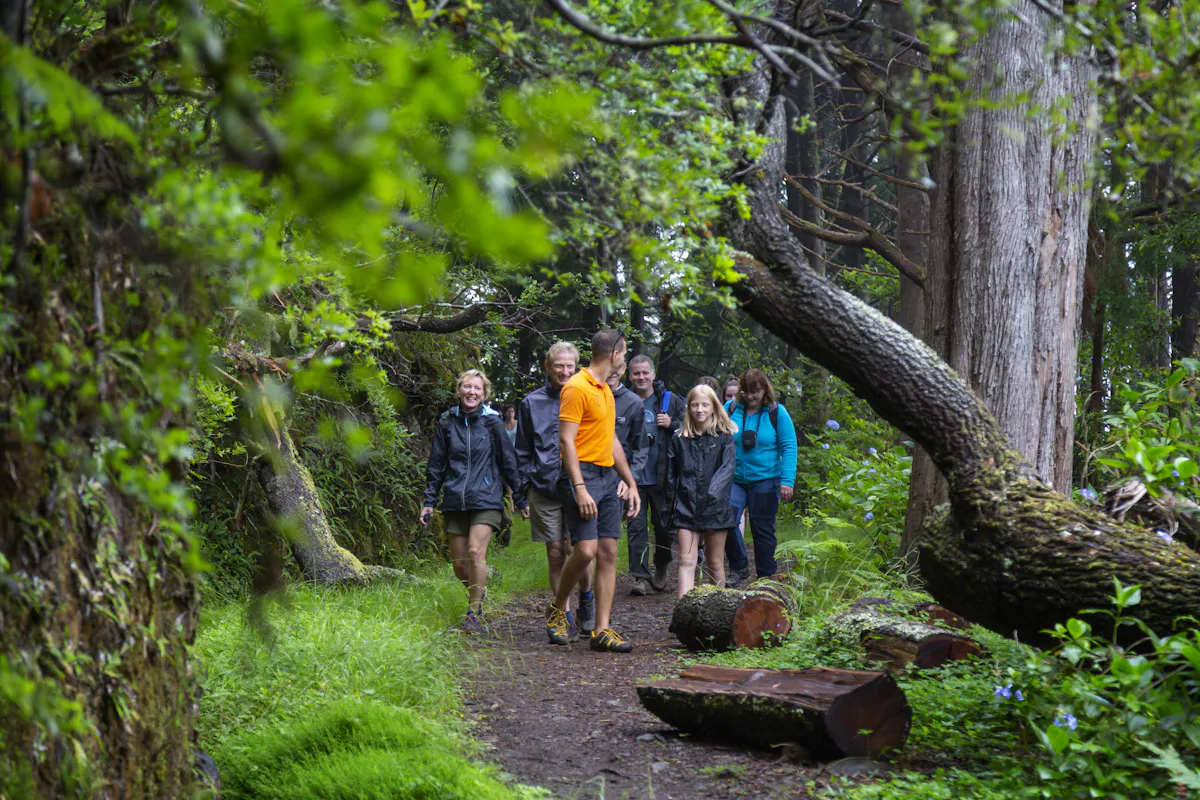 Vourliotes and Platanakia Hike