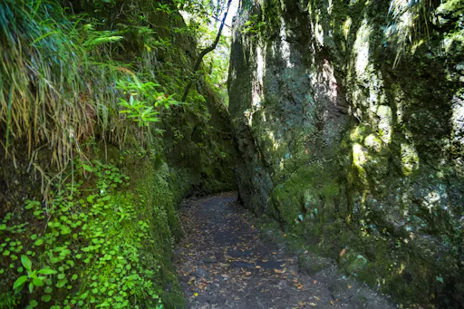 Vourliotes and Platanakia Hike