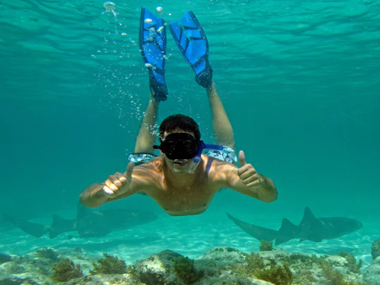 Cabeza de Toro Reserve Glass-Bottom Catamaran Cruise