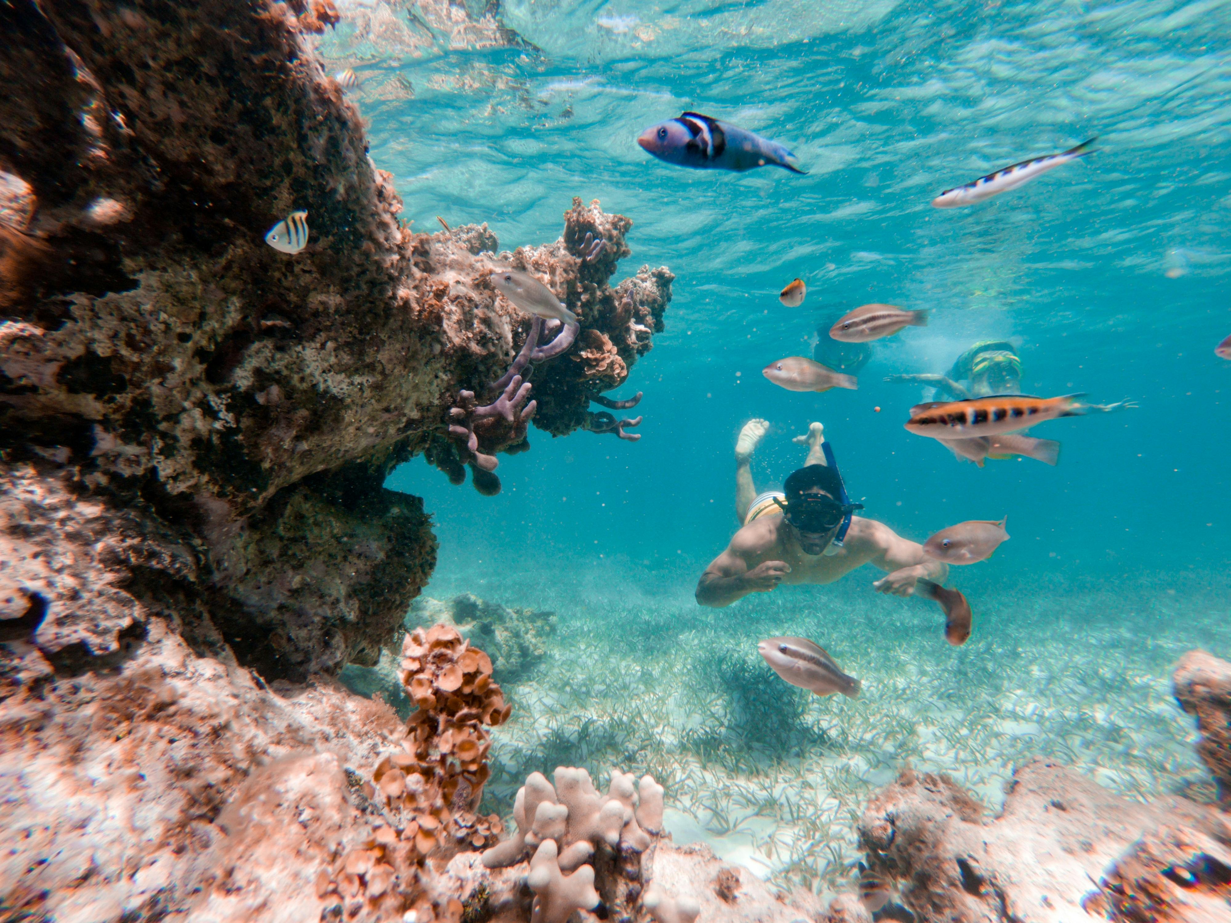 Punta Cana Snorkelling Tour