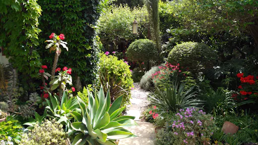 La Almunya del Sur Botanical Garden