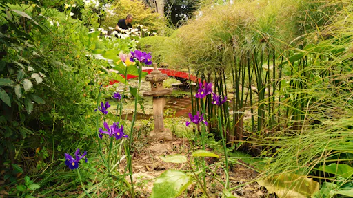 La Almunya del Sur Botanical Garden