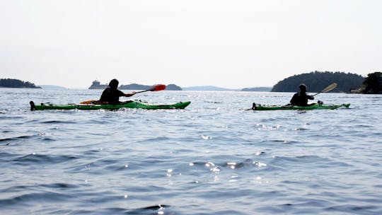 Enjoy Stockholm Archipelago by kayak