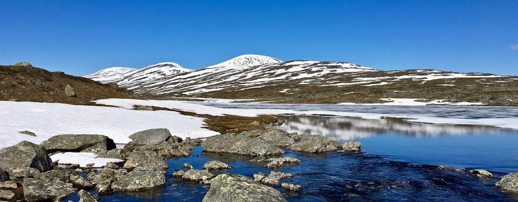 Escursione di una settimana attraverso il Parco nazionale di Sarek e Padjelanta