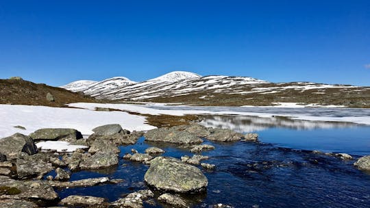 One week hike through Sarek and Padjelanta National Park