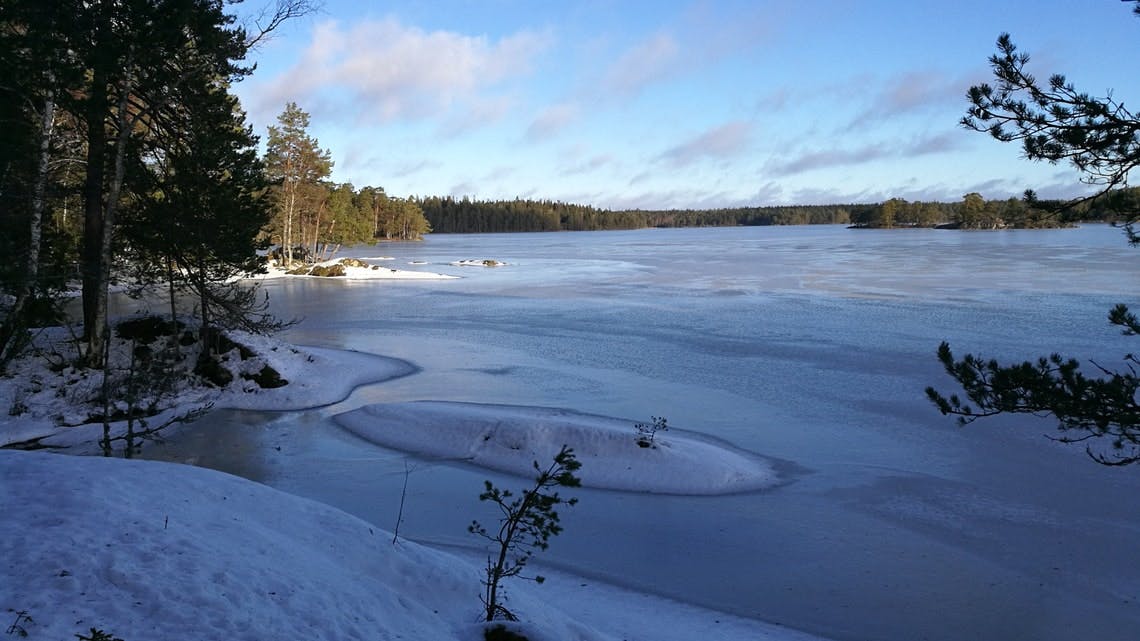 Fai un'escursione attraverso il paese delle meraviglie invernale a Stoccolma