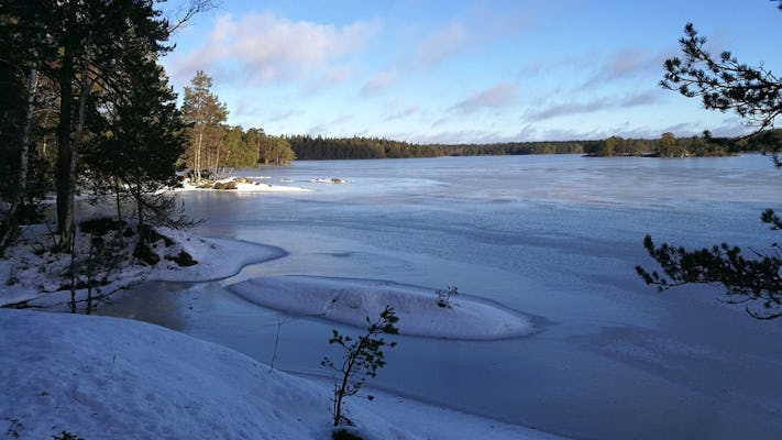 Fai un'escursione attraverso il paese delle meraviglie invernale a Stoccolma