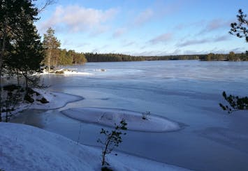 1-day small-group Stockholm nature hike with meal