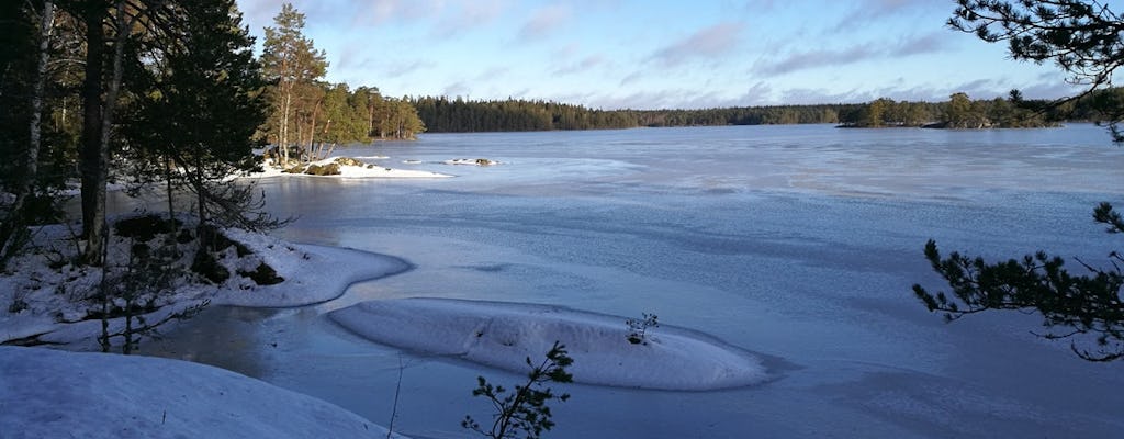 Wandeling door winterwonderland in Stockholm