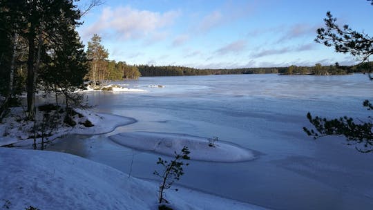 Vandra genom vinterlandskapet i Stockholm