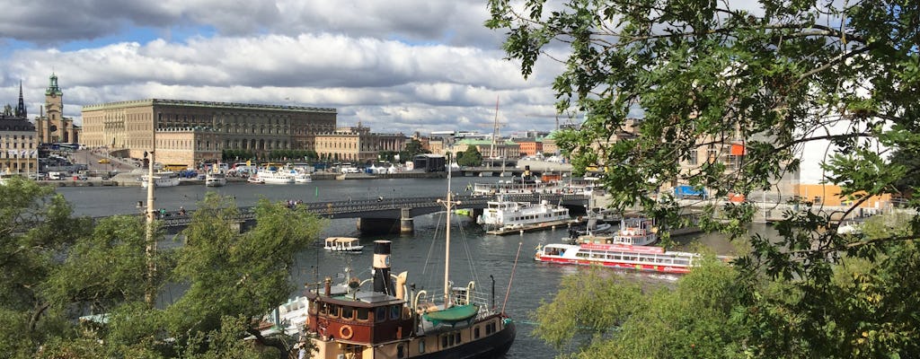 Stockholms Top-Attraktionen All-inclusive Gran Tour halber Tag