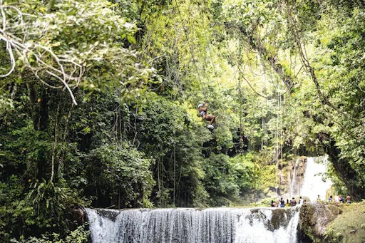 Black River and YS Falls Tour