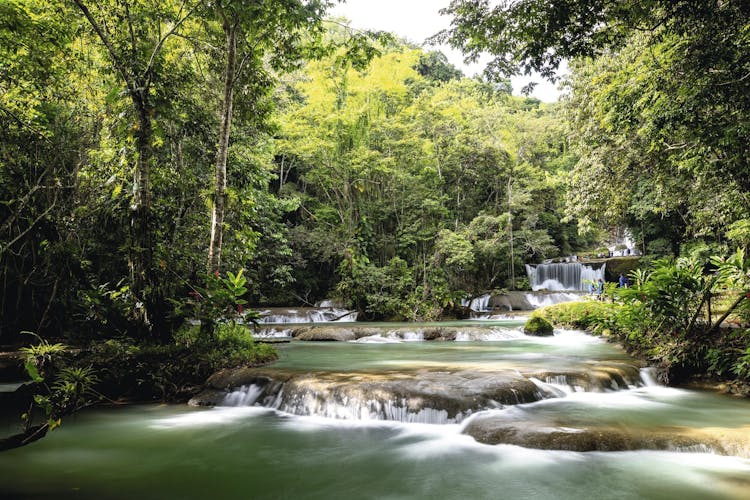 Black River and YS Falls Tour