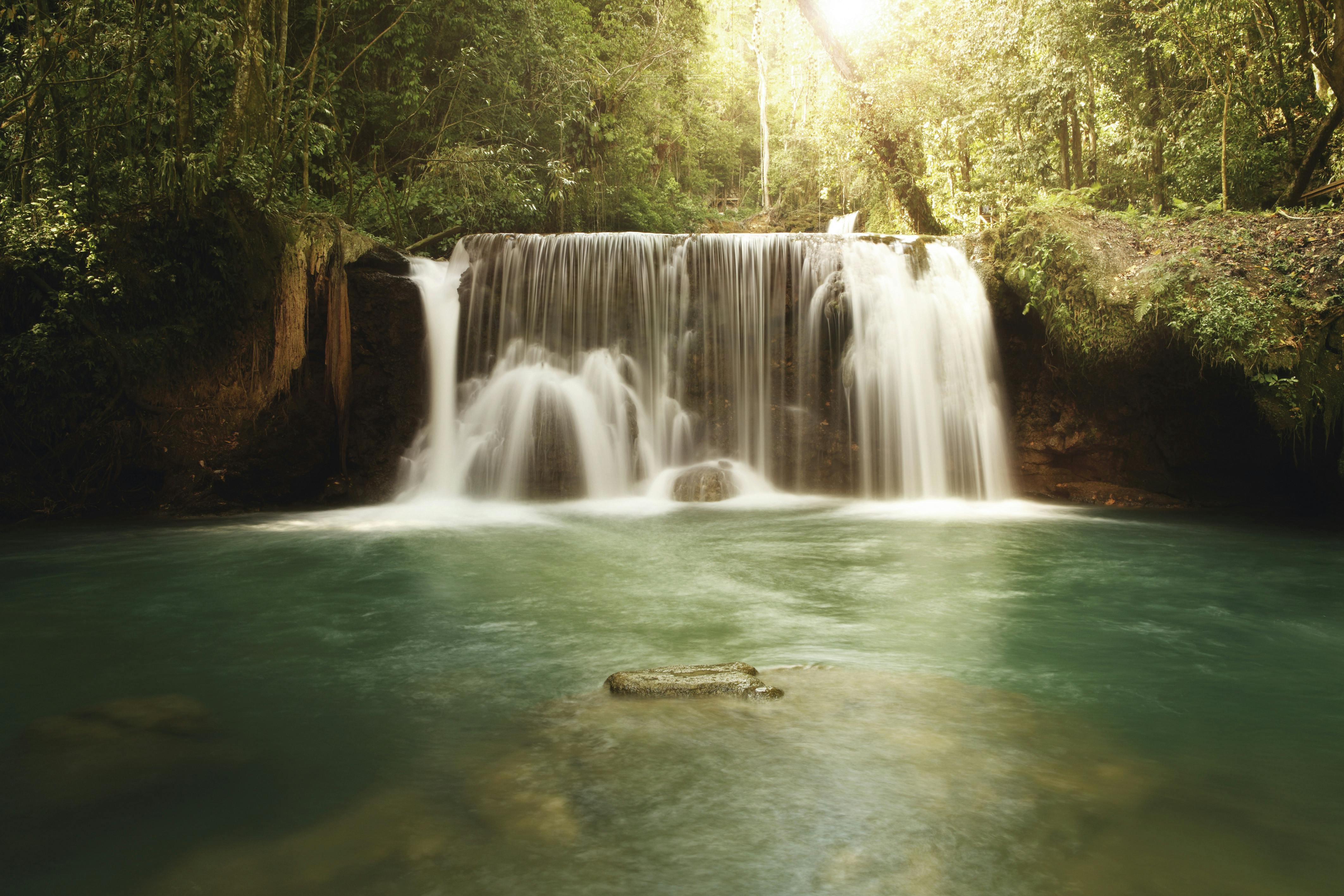 Black River and YS Falls Tour