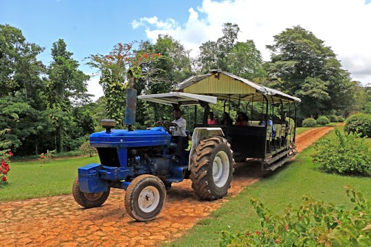 Parque de aventuras Yaaman