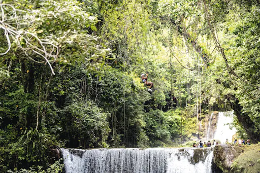Black River and YS Falls Tour