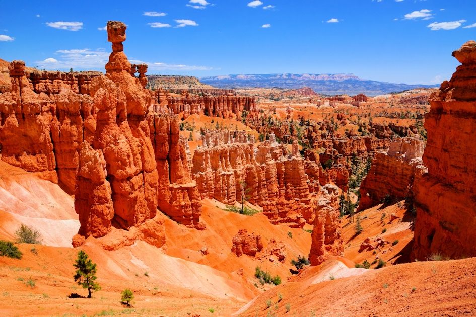 Bryce Canyon National Park Tours and Tickets  musement