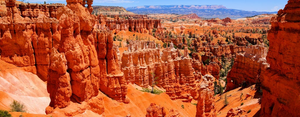 Tour e biglietti per il Parco Nazionale di Bryce Canyon | musement